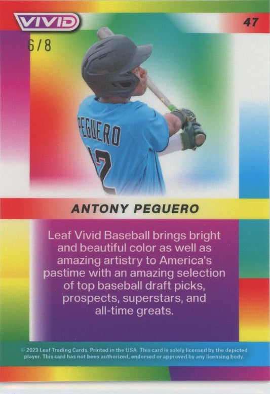 Antony Peguero 2023 Leaf Vivid Baseball Red XRC #6/8 #47